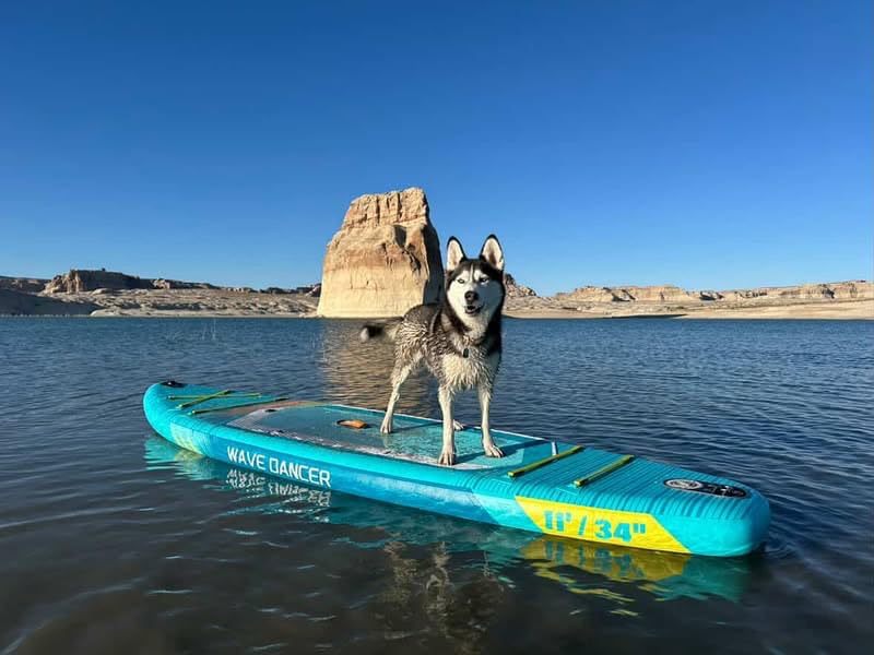 TIGERXBANG Aufblasbares Stand Up Paddle Board 335×86×15cm mit komplettem Zubehör, vielseitige Premium Paddle Boards für Erwachsene/Jugendliche, Paddle Board Wave Rider Dancer Collection-Himmelblau